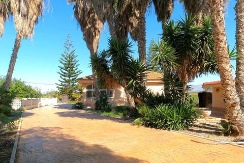 Finca i Dolores, Alicante, Dolores - € 374.950 | Ref: 30O994841 - foto 25